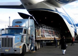 sar assicurazione roccella camion